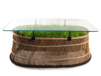 'Interior Garden' (Coffee Table)